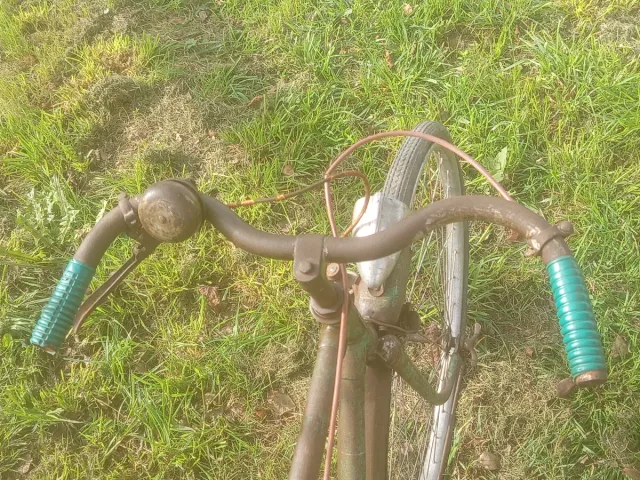 Bici Terrot Francesa Años 30