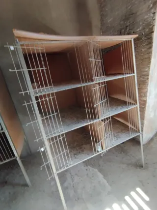 Jaulas para palomos