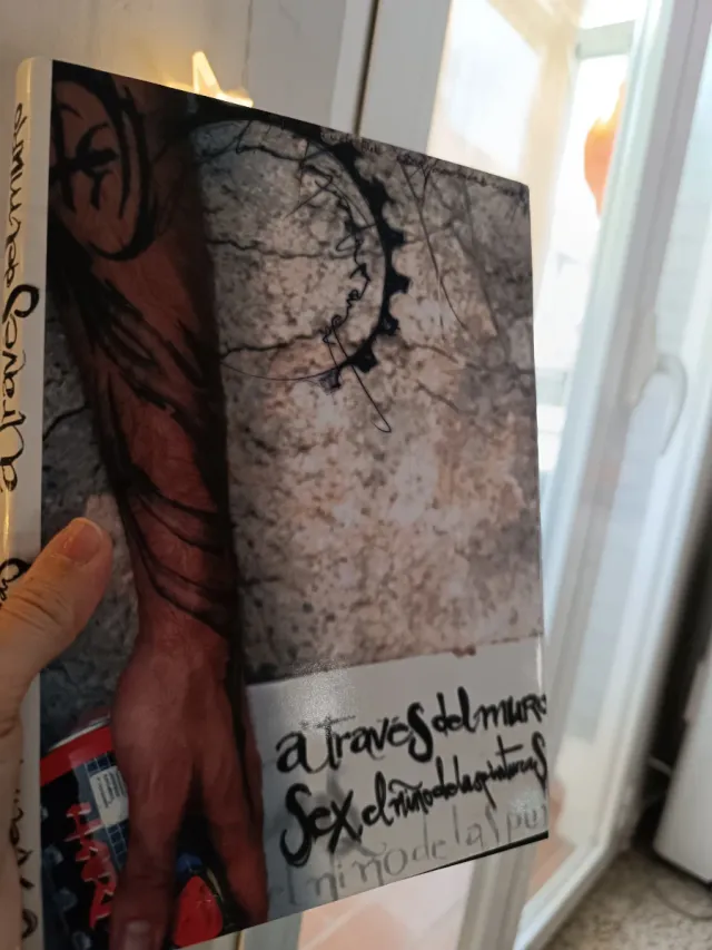 A traves del muro. El nino de las pinturas