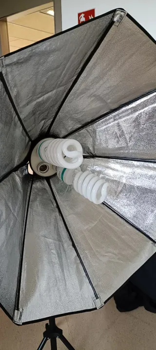 Focos de fotografía luz continua.