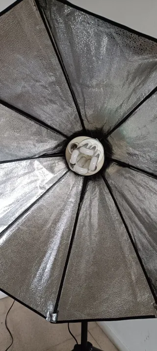 Focos de fotografía luz continua.