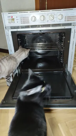 Horno y microondas antiguo FAGOR (Hornocrondas)