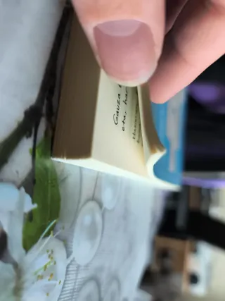 Etxean itxita: Gizajo baten egunkaria 6