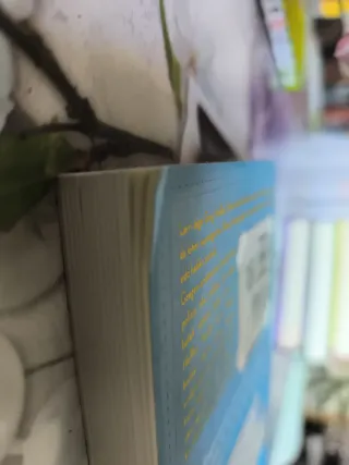 Etxean itxita: Gizajo baten egunkaria 6