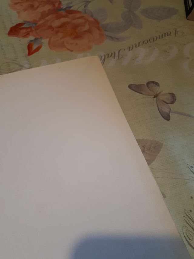 Picasso 1917-1924 il viaggio in Italia