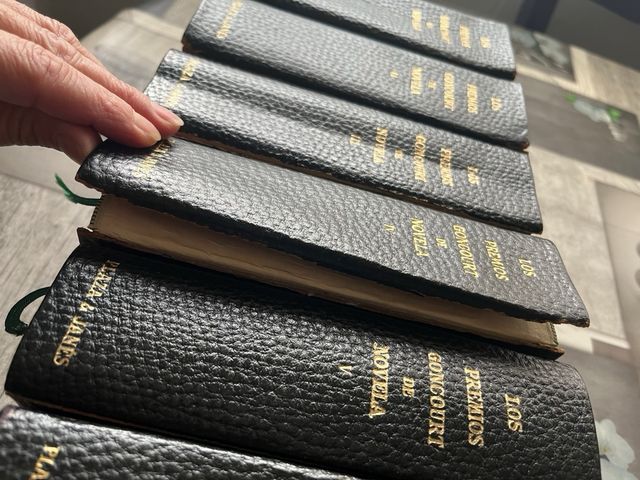 los premios concourt de novela