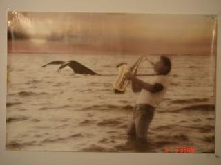 Póster Naturaleza Ballena Saxofonista