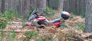 Aprilia Pegaso 650 IE