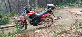 Aprilia Pegaso 650 IE