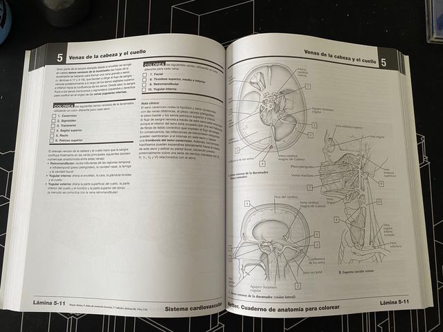 Netter cuaderno de Anatomía para colorear.