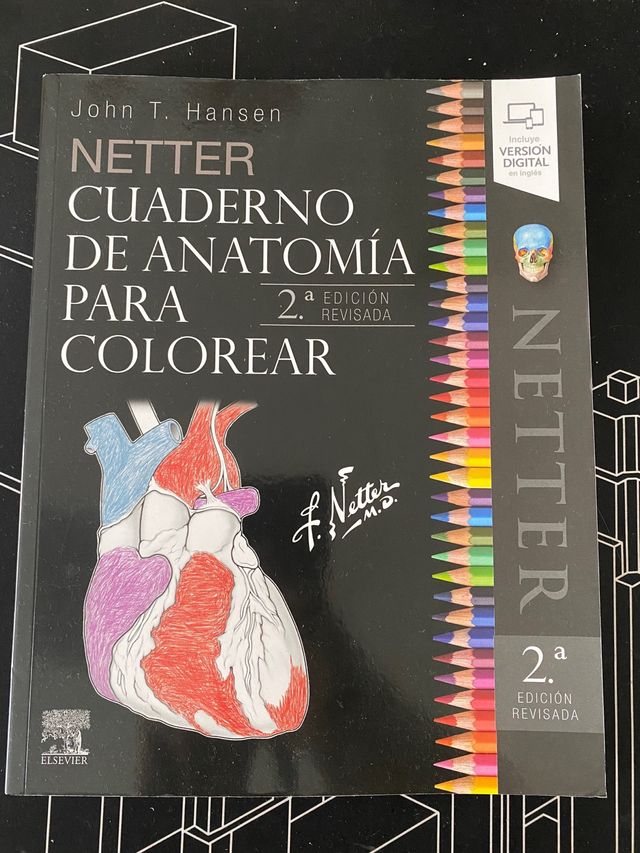 Netter cuaderno de Anatomía para colorear.