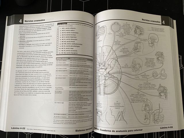 Netter cuaderno de Anatomía para colorear.