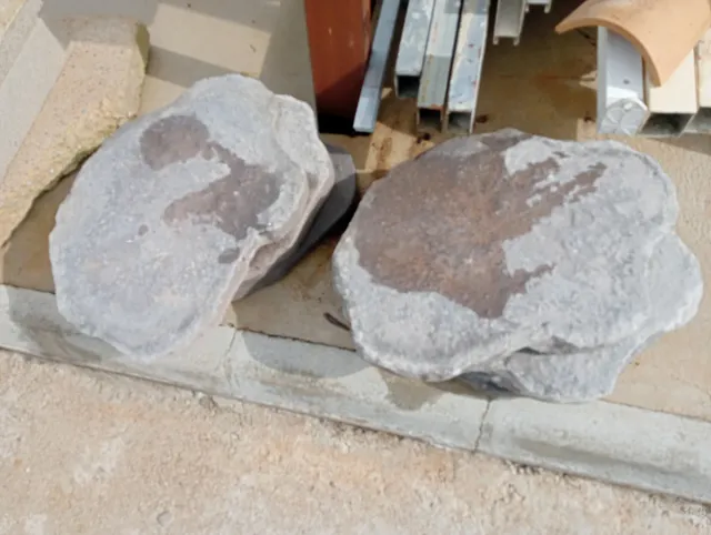 Paso de 6 piedras entrada césped jardín exterior