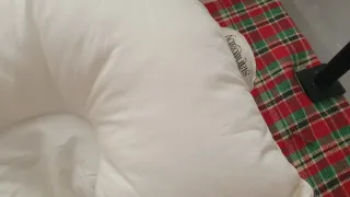 Reductor nido bebé cuna/moises/capazo