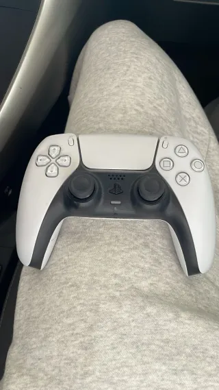 Mando PS5 Blanco y Gris