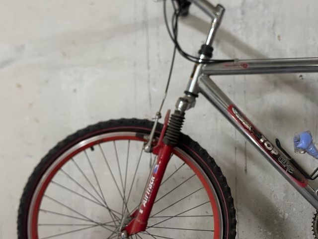 Bicicleta Aluminio Montaña retro