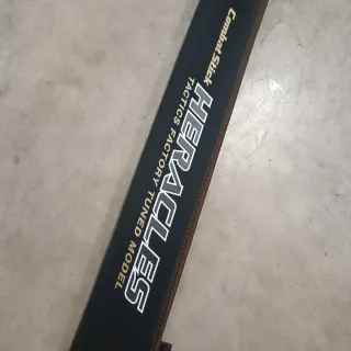 Caña Pesca Evergreen EG Swimming