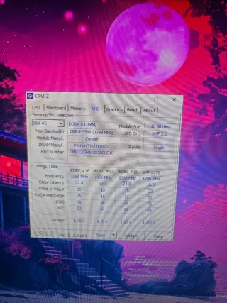 Ordenador Gaming Gamer RGB