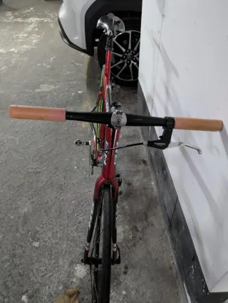 Bicicleta single speed /fixie.