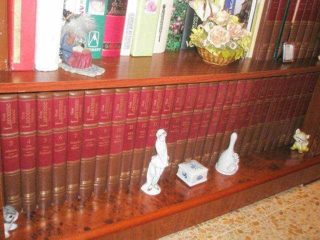 Diccionario enciclopedia Gran Larousse Plaza Janes