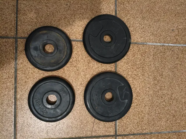 Lote discos de pesas