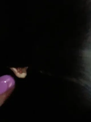 Falda negra mujer talla 48