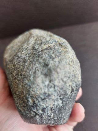 Fósil de Dinosaurio Autentico 10.5x11.5 cm