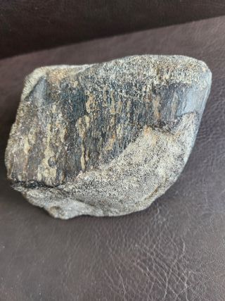 Fósil de Dinosaurio Autentico 10.5x11.5 cm