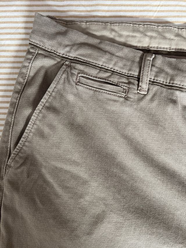 Chino Springfield Beige