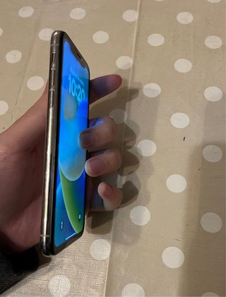 iPhone X 100% Salute Batteria!!