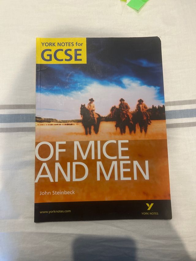 Of Mice & Men (York Notes for Gcse)