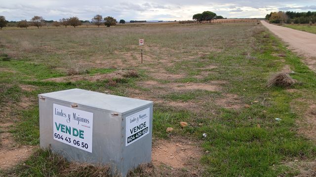 Bancal de riego Tarazona de La Mancha