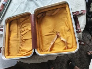 Maleta de cuero marrón