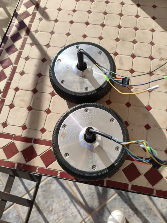 2 Motores Hoverboard