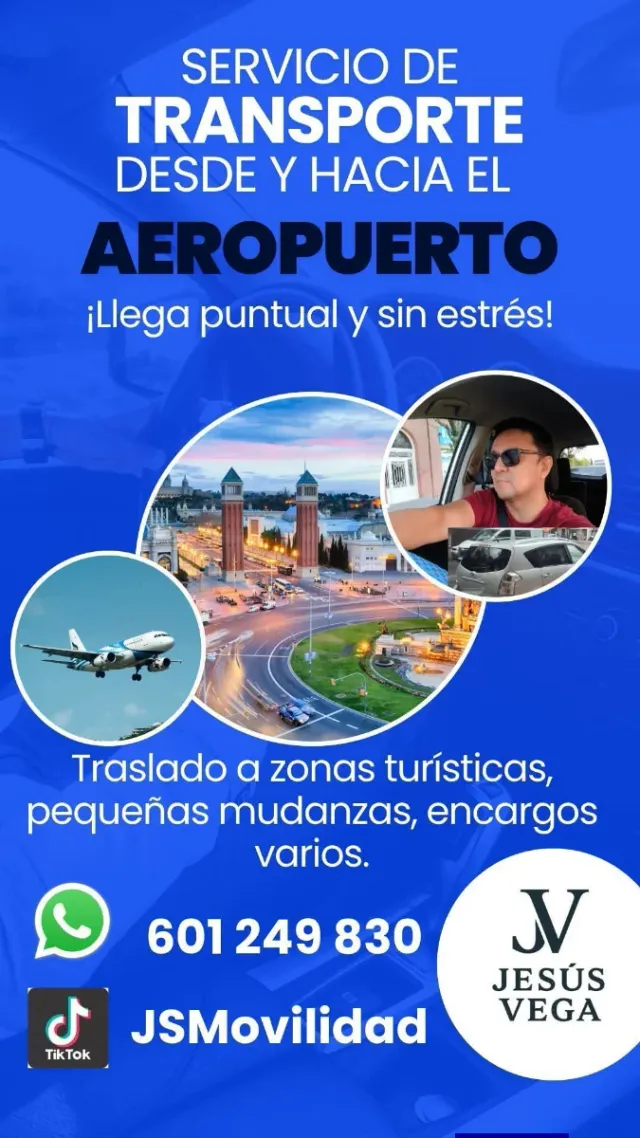 Movilidad particular