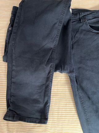 Pantalón marino Springfield