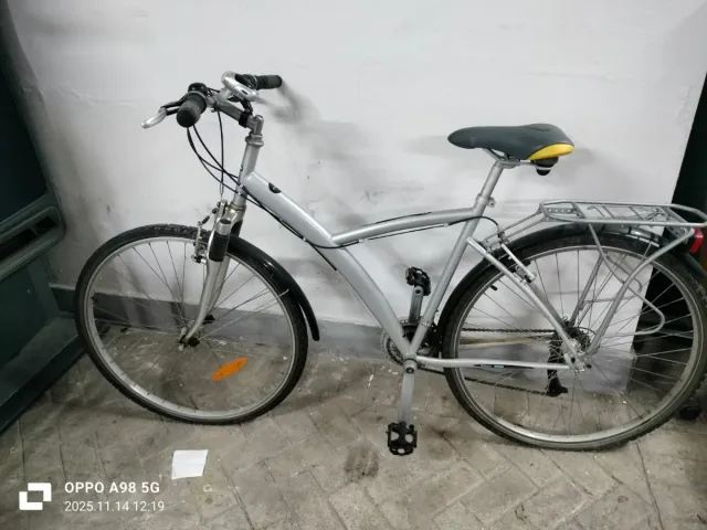 Bicicleta plateada con portaequipajes