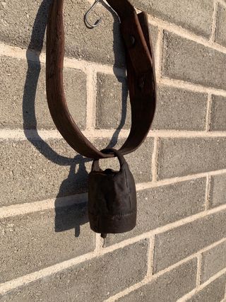 Campanaccio antico raro da collezione