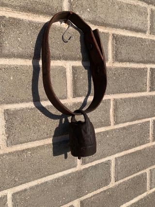 Campanaccio antico raro da collezione