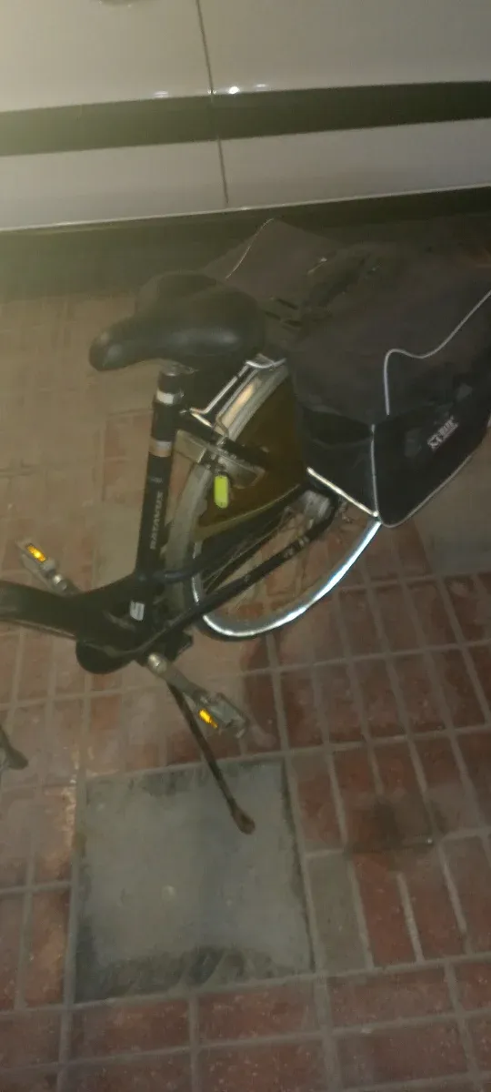 Bicicleta Batavus Verde