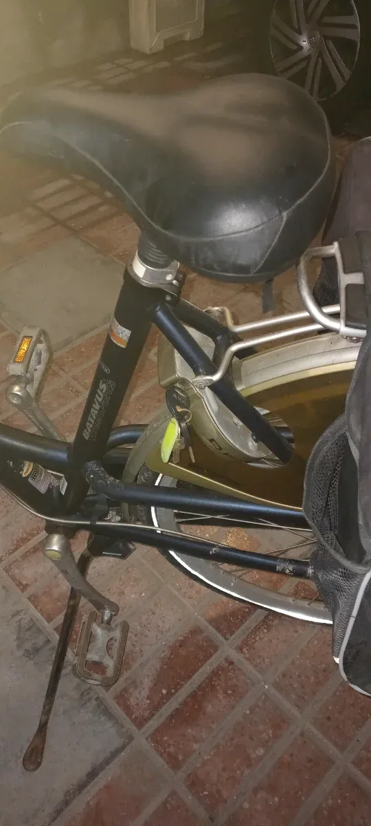 Bicicleta Batavus Verde