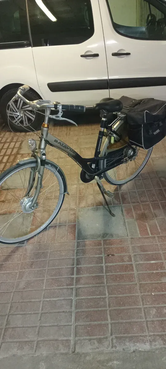 Bicicleta Batavus Verde