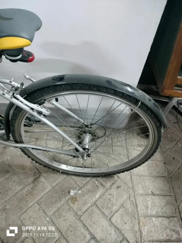 Bicicleta de paseo plateada