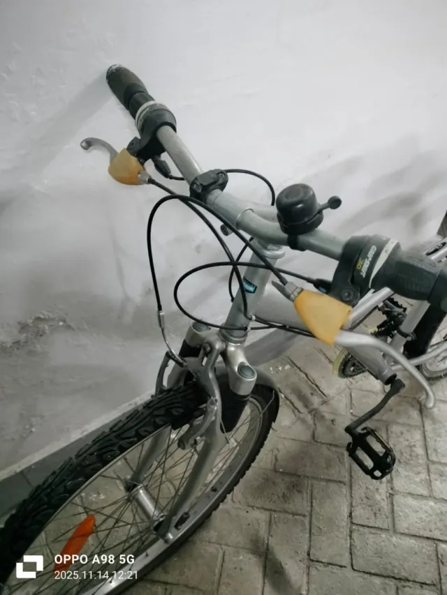 Bicicleta de paseo plateada