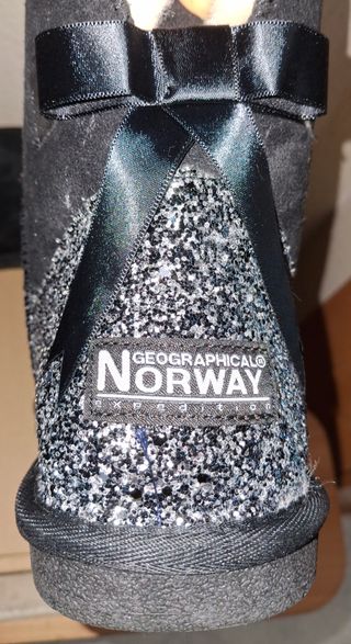 Botines Geographical Norway Negro y Plata