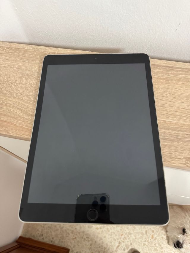 iPad 9ª Gen 2020 Plata