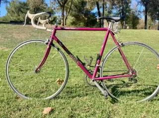 Bicicleta Clásica Mérida