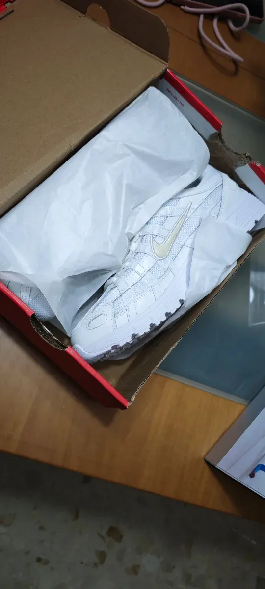 Zapatillas Nike P6000  Blanco y plata