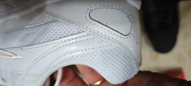 Zapatillas Nike P6000  Blanco y plata