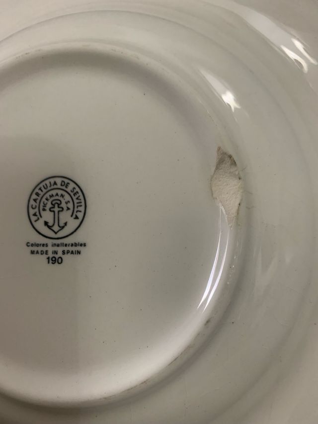 Plato La Cartuja flor de luz